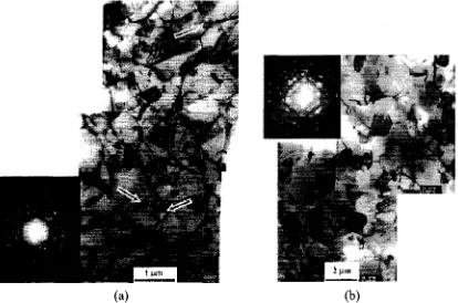 Figure 2.11 