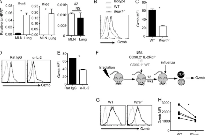 FIG 5 Blimp-1 controls T-bet binding to cytolytic genes in CD4promoters in cultured CD4� T cells