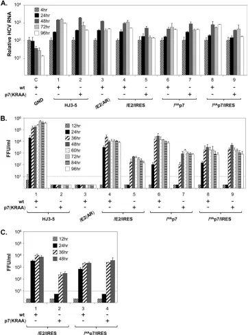 FIG 3 Time course of HCV RNA replication and virus production. (A) The results of the quantitative TaqMan RT-PCR assays for HCV RNAs in lysates ofelectroporated Huh-7 cells at the indicated time points