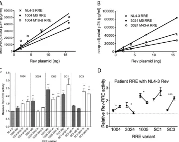 FIG 6 Activity levels of patient RRE variants with the NL4-3 Rev. Dose-response experiments with patient RRE sequences were performed as described in thelater (M43-A; open circles) relative to the cognate NL4-3 Rev-RRE pair (X)
