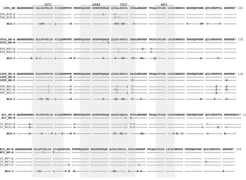 FIG 2 Amino acid alignment of patient Rev variants selected for functional analysis. Patient sequences selected from the ﬁrst time point after seroconversion(M0) are shown in boldface