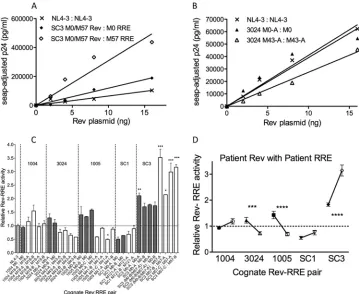FIG 4 Activity of cognate Rev-RRE pairs from individual infections over time. 293T cells were cotransfected with 0 to 32 ng of a plasmid that expressed a patientfrom the ﬁrst available time point (M0-A; closed triangles) and a later time point (M43-A; open