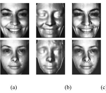 Fig. 3 Figure 3. illustrates the relighting of a side illuminated image.