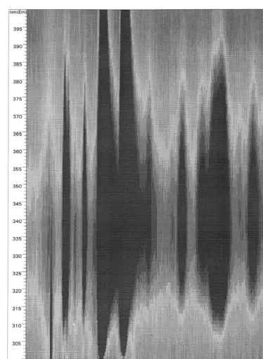 Fig. 5. Contour plot (isoplot) of emission spectra of peaks contained in Fig. 3.