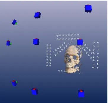 Figure 3.3 Skull showing location of camera stations 