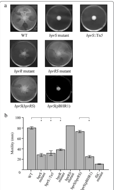 Fig. 4 The(complemented B. pseudomallei bprS and bprR mutants display reducedmotility