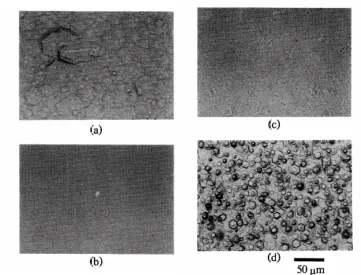 Fig. 3.5(c). The Interference Micrographs of GaN Grown With and