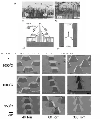 Fig. 3. Threading dislocation behavior in <11-20>oriented GaN LEO regions
