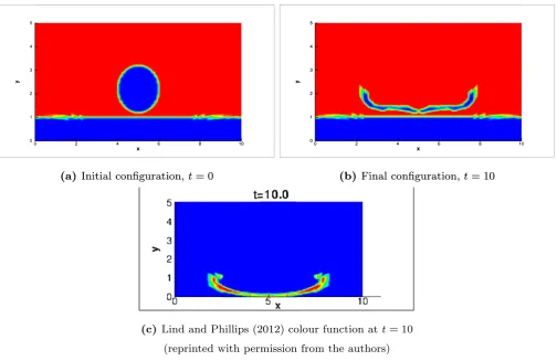 Fig. 3. Colour function at (a) the beginning, (b) the end of the simulation and (c) two-phase results of Lind and Phillips (2012) (reprinted with permission from the authors)