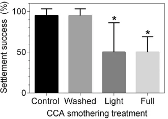 Fig. 3. Effects of coal encapsulation on coral larvae. (A) proportion of settled, unsettled, coal coated and dead larvae after 12 and 24 h exposure to coal-free seawater and 800 mg coal lImages depict (B) a larva in a coal ball and (C) a larva that has ing