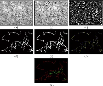 Figure 2: Graphical description of the algorithm. (a) Original image treated with 8 Gy