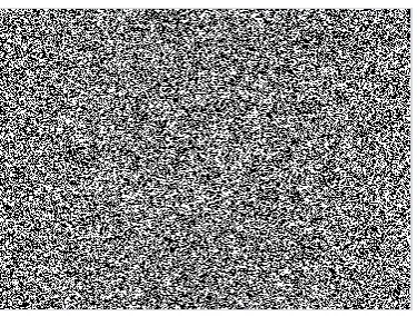 Fig. 1. Original (.BMP) Image  
