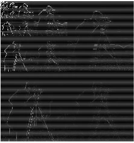 Fig 2: Original Image For Wavelet Transform. 