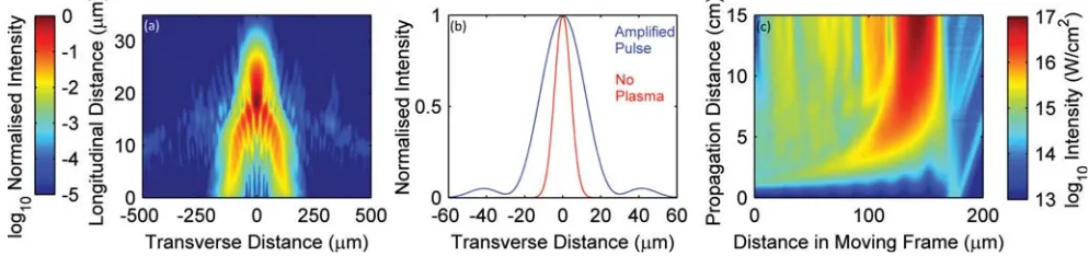 FIG. 4. (a, b) A two-dimensional simulation of a primary stage ampliﬁer with ﬁnite focal length, demonstrating that the process is possible