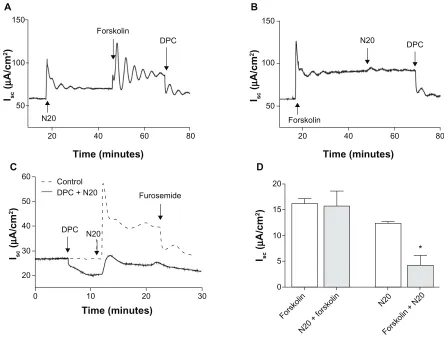 Figure 2 The effect of N20 on transepithelial anion secretion in Calu-3 cells. further increased short-circuit current in N20 pretreated cells