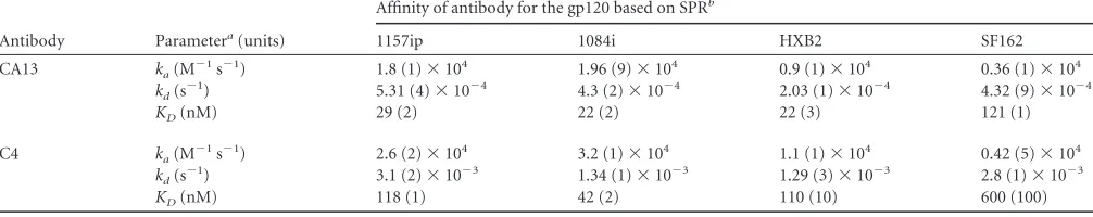 FIG 6 Linear epitope-speciﬁc antibody binding to a region of gp120 differentially stabilized across isolates