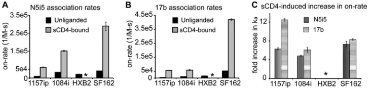 TABLE 4 SPR binding parameters for conformation-dependent antibodies