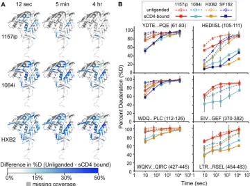 FIG 5 Isolate-speciﬁc differences in sCD4-induced stabilization of gp120. (A) Difference heat maps show the spatial proﬁle of sCD4-induced stabilization ofgp120