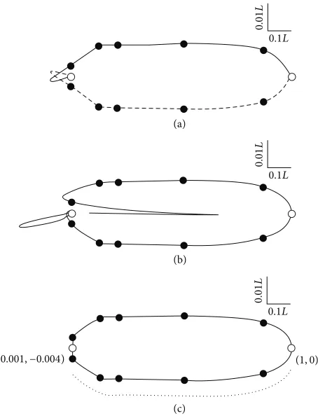 Figure 2: Comparison of the boundaries on which the estimates, (0, 0) and (1, 0)) are shown.The vertical and horizontal dimensions differ in scale by a factor of10 relative to the overall length of the nematode (L = 0.6 mm).-representations are those we de
