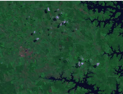 Figure 1.5: Satellite Image for Classification Figure1.6: Classified Image 
