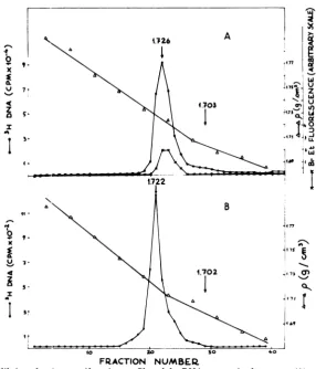 FIG. NUMBER.gradienttext.10(B).(1.726 mM of The (A) and Tris-hydrochloride the Triton-NaCl cells purification, in 1.722 were g/cm3) labeled extrac&; sample NPC or (pH from expected (B) deproteinization, the 7.5)-10 5 pooled to cell sucrose mMFRACTION1