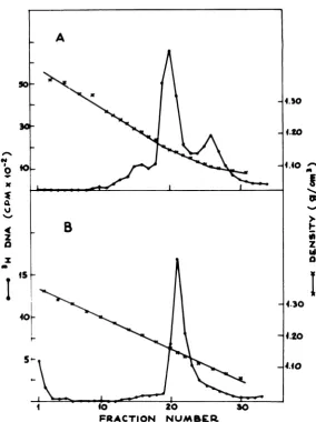 FIG. 8.fractionsextractedin the Metrizamide density gradient analysis of a cell extract (A) and NPC from pooled sucrose gradient (B)