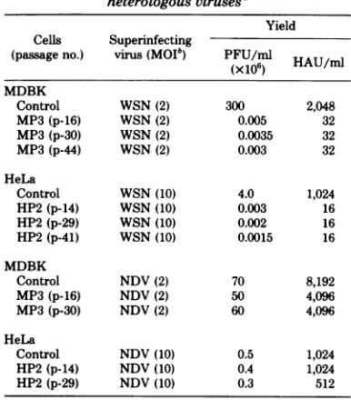 TABLE 2. Virus production after superinfection ofpersistently infected cells by homologous and