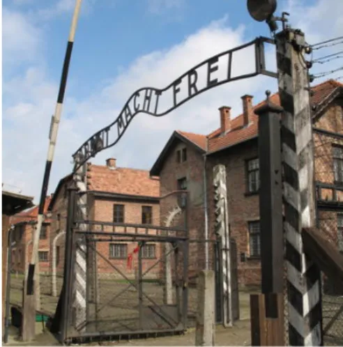 Figure 2. Auschwitz Birkenau  German Nazi Concentration 