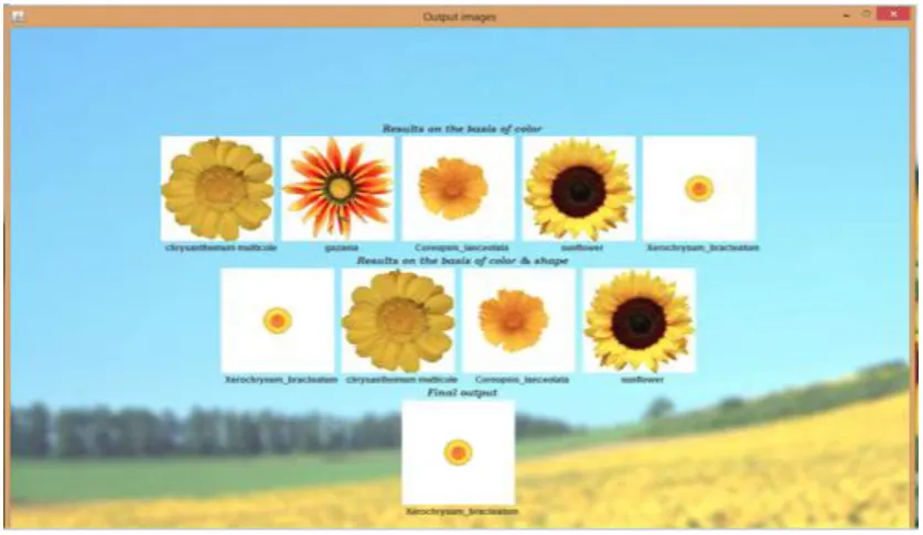 Figure 5: Screenshot of recognition of flower by software 