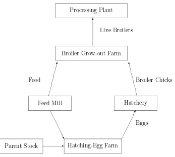 Figure 2.1: The Broiler Industry