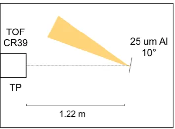 Figure 3.A TOF signal acquired with the pDD @ 1.22 m downstream the target. The inset shows theincident kinetic energy calculated in the range corresponding to the faster proton peak.