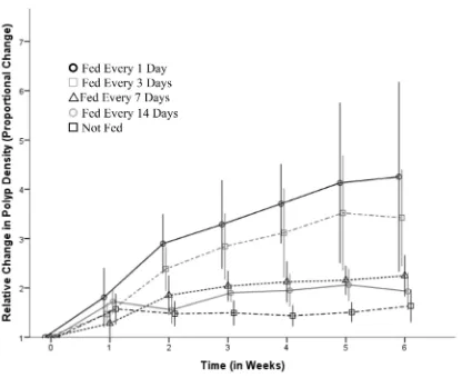 Fig 2. The relative change in Carukia barnesi polyp density, over six weeks of exposure, to five feedingregimes