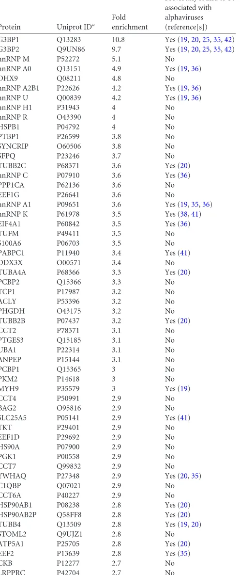 TABLE 1 Proteins enriched �2.5-fold in the viral replication organelle(CPV-1s) fraction obtained from SFV-infected cells by magnetic sortingand identiﬁed via comparative SILAC-based proteomic analysis