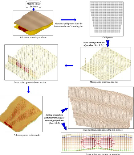 Figure 3.4 Procedure of constructing heterogeneous volumetric models 