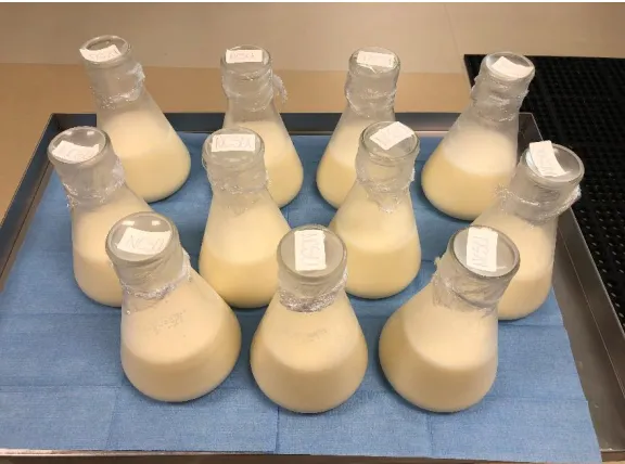 Figure 3.2 Sealed Bottles of Raw Milk  