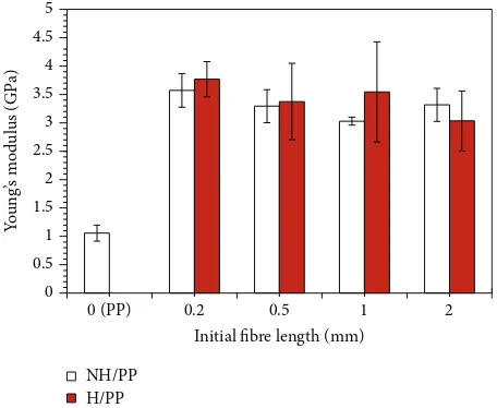Figure 9: The influence of the initial fibre length on tensilestrength of the noil (white) and treated hemp (red) fibre reinforcedpolypropylene composites.