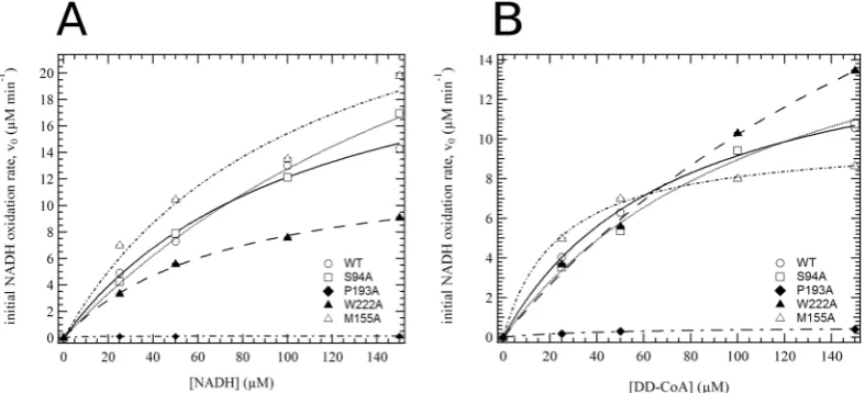 Table 2. NADH dependence (50 DD-CoA and 100 activity, and is used to reference the other alleles