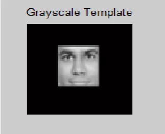 Fig. 3: Chosen template                                                                          Fig