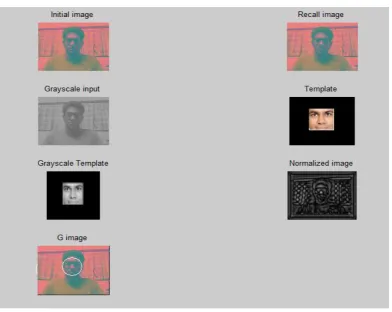 Fig. 5 below shows the final plot of normalized image and the white circle in it indicates the face detected