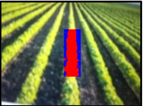 Figure 5-6 below a crop image with a viewport can be seen where the plant pixels are shown in red and the non-plant pixels in blue