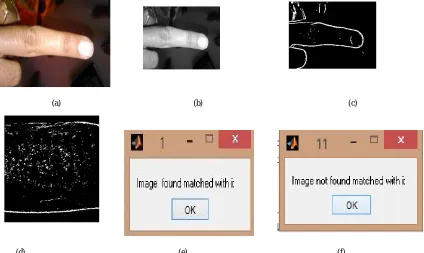 Fig 4. (a) Original Images, (b) Grayscale Images, (c) Edge Detected Images, (d) Segmented Finger Knuckle Part, (e) Result when image matches with image in dataset, (f) Result when image not matches with image in dataset 