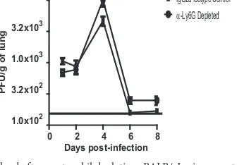 FIG 7 1A8 administration does not affect macrophage numbers in mock- or RSV-infected mice