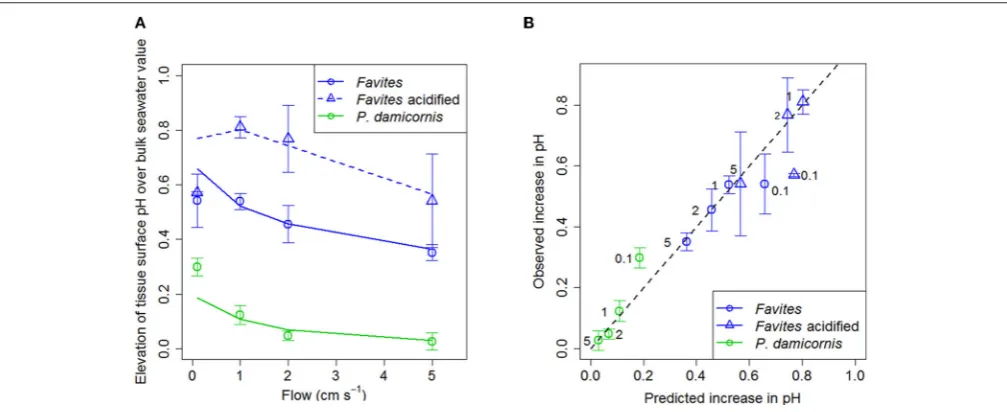 FIGURE 3 | Continuous measurement of tissue surface O2 concentration (black line) and pH (red line) for (A) P