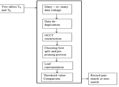 Fig. 2: Architecture of many-to-many data linkage using OCCT. 
