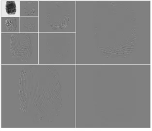 Fig. 2 Wavelet Decomposition   