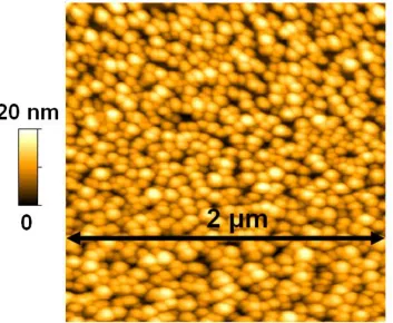 Figure 3.4 AFM image of an annealed Fe/Mo catalyst sample used for CNT growth. 