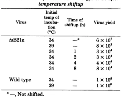 TABLE 5. Yield of tsB21u and wild-type virus aftertemperature shiftup