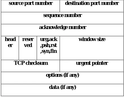 Figure 2. TCP Header Format 