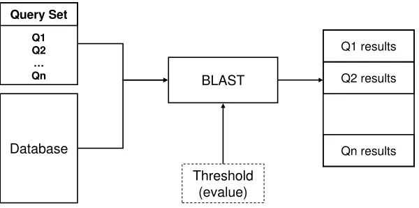 Figure 2.1: BLAST Search