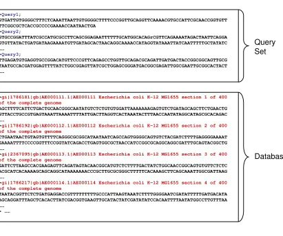 Figure 2.2: BLAST Input